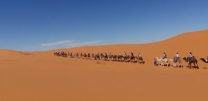 Morocco Camel Trekking