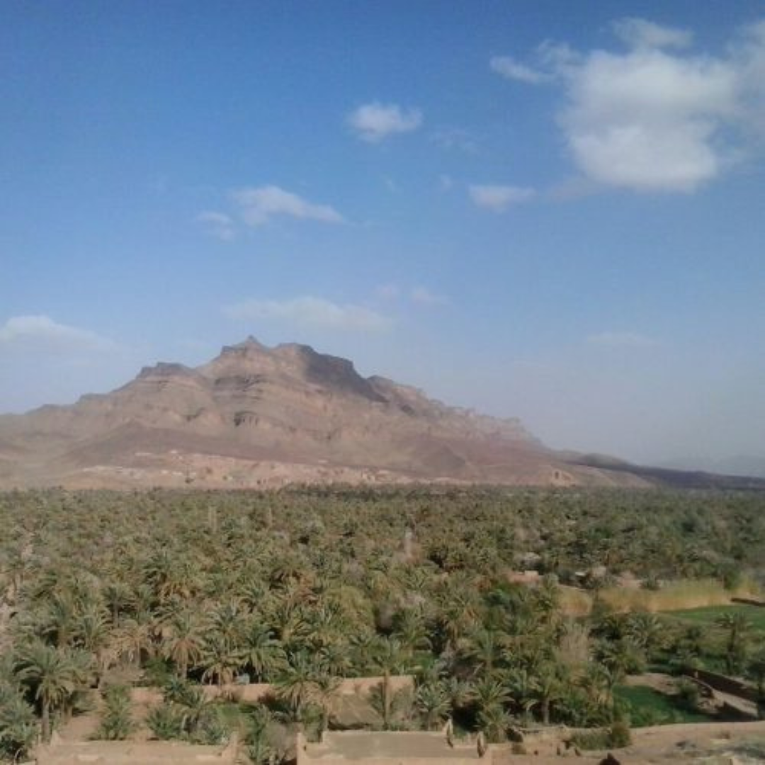 Bet Moroccan Tours (2)