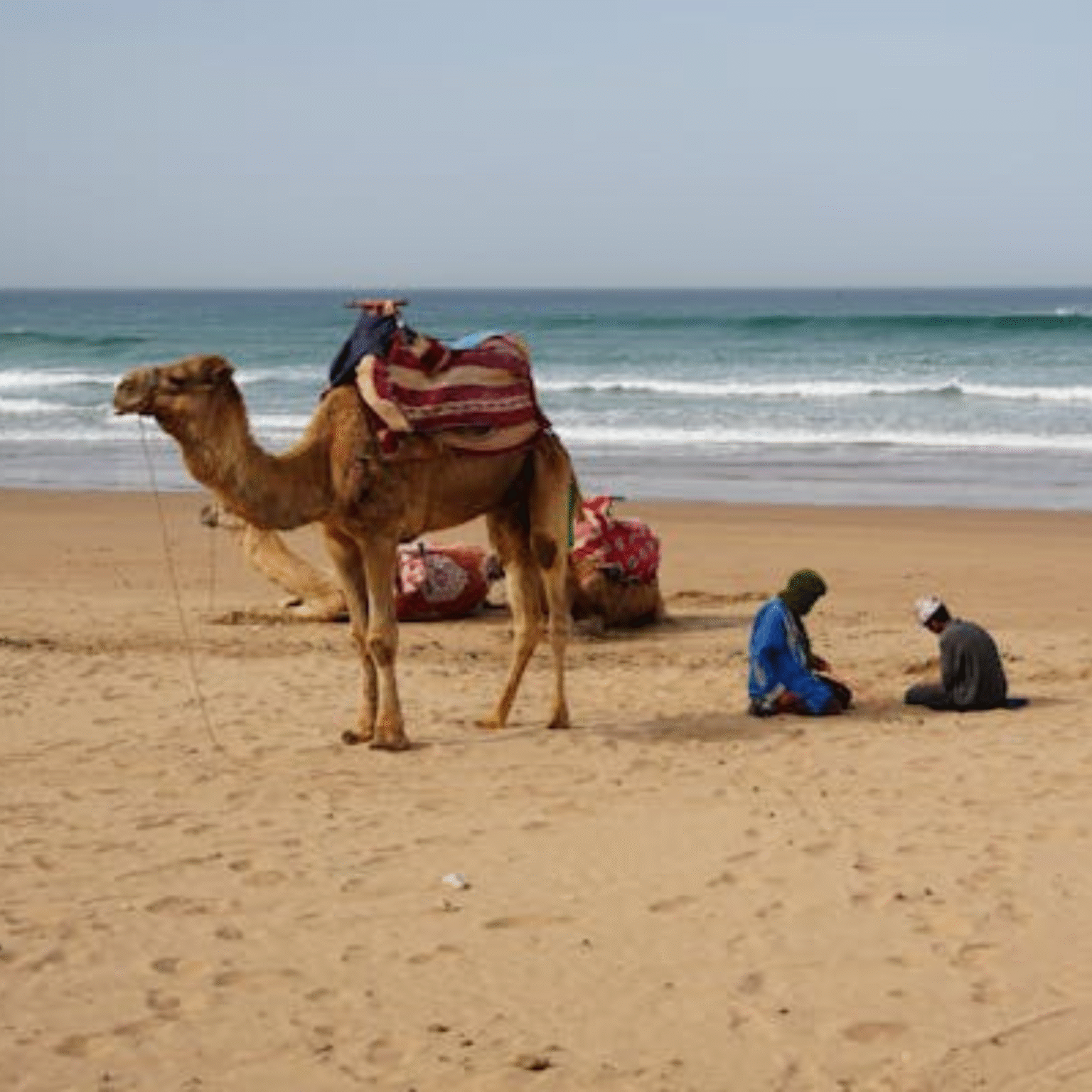 Bet Moroccan Tours (76)