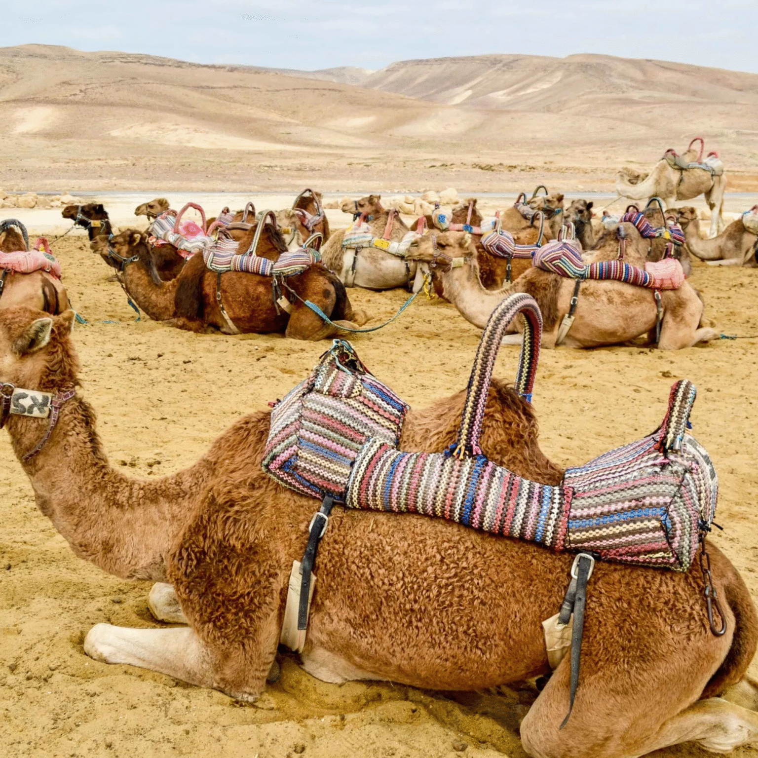 Bet Moroccan Tours (95)