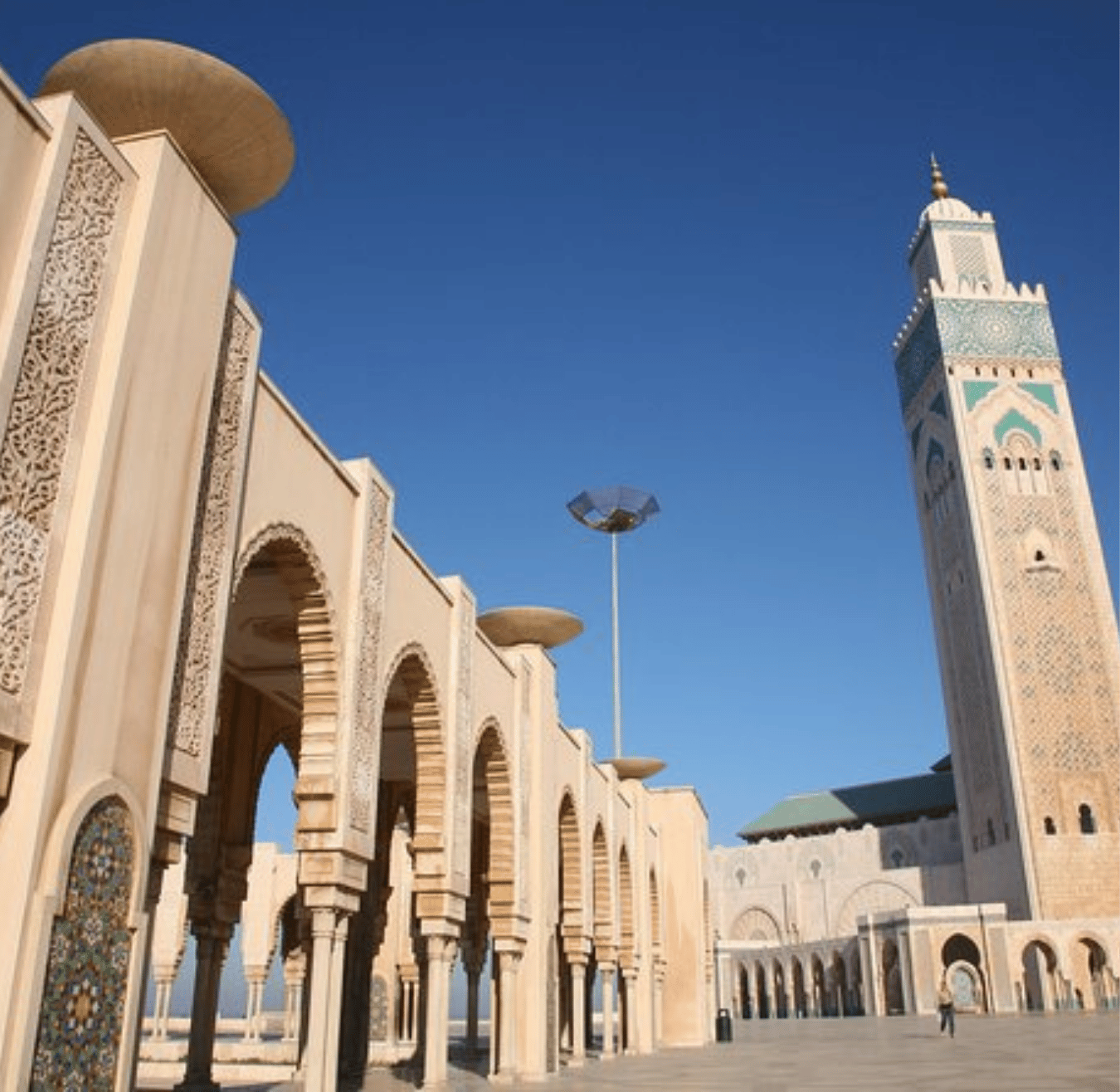 Sahara tours - 2025-08-05T181623.153