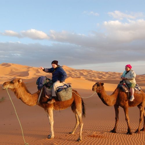 casa-3-qrfwhxtr1fvqwrhv50kmtlcri6mc8l6zz2bfsa97k8