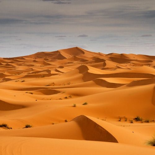 marra-2-qrfwhpd7bxk609u5iewzp5hm5ps1bb9exwg2gslr48