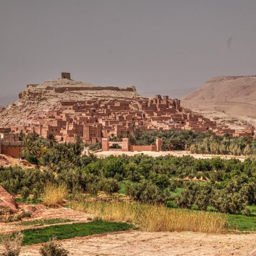 marra-8-qssb2yftywni5kaedph534urd7kbmix8yo4iwjdwg8