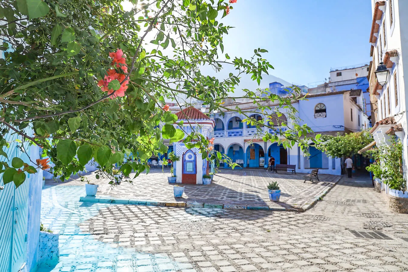 12 Best Morocco Cultural Tours