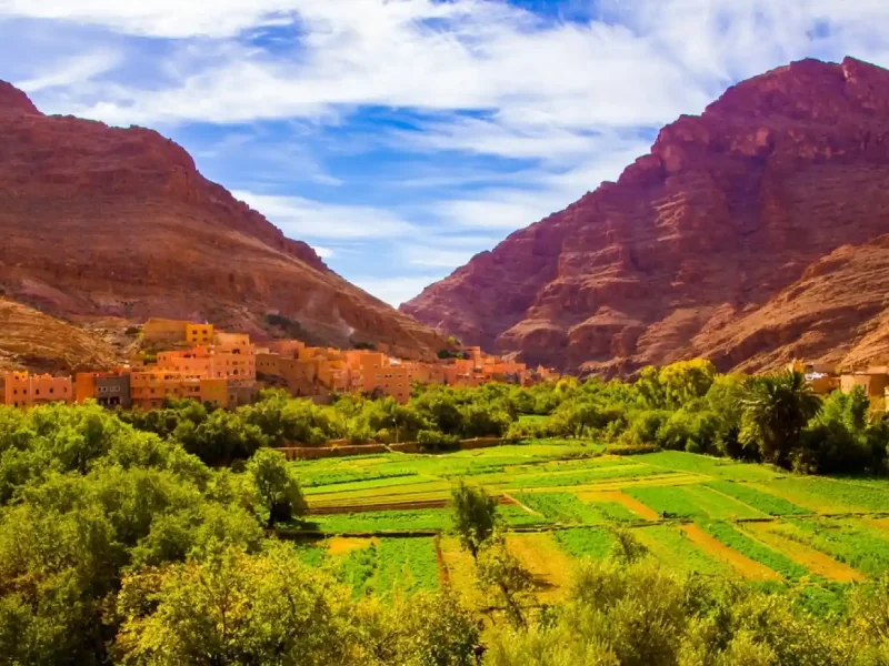 12 Authentic Morocco Tours and Desert Trips 2026