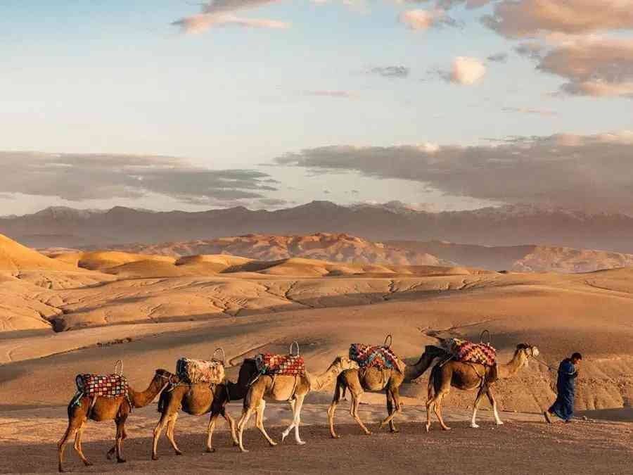 4 Amazing Agafay Desert Tours