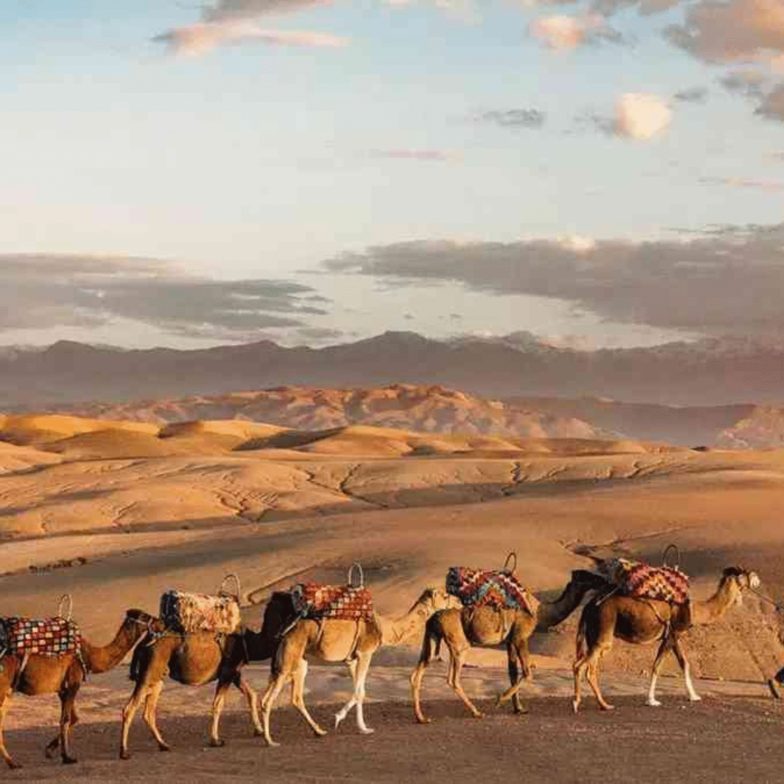 Marrakech Agafay Desert