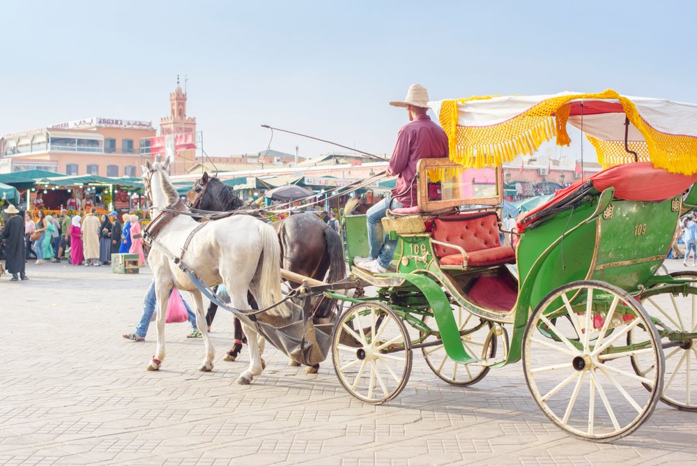 Marrakech horse carriage