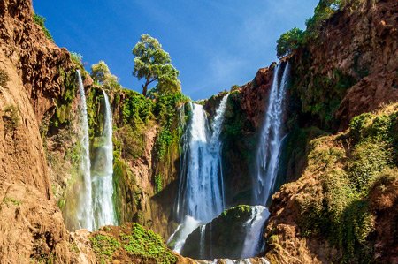 Ouzoud Waterfall Day Trip from Marrakech