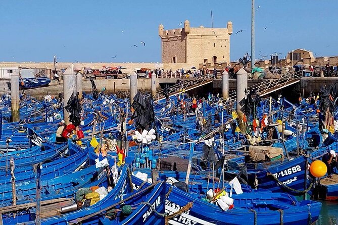 Best Essaouira Day Trip from Marrakech
