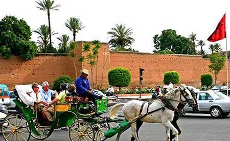 Marrakech horse carriage