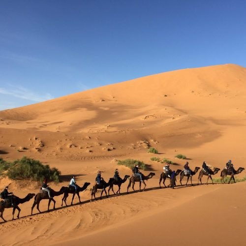 Morocco desert experience