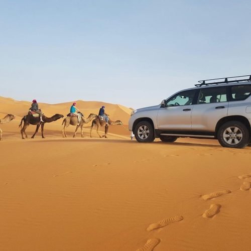 camel-and-car.jpg